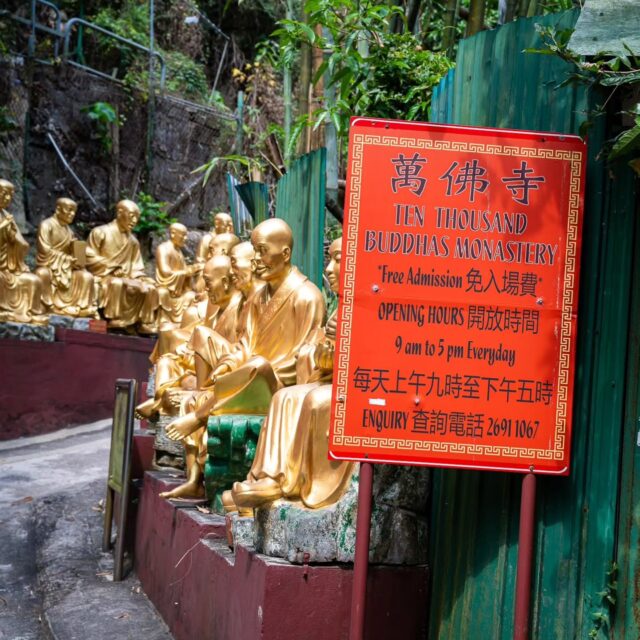 When one Buddha isn't enough, bring 10,000!

Exploring the 10,000 Buddhas Monastery in Hong Kong, where enlightenment comes in bulk! 🙏🏼🌟 Who knew achieving inner peace could be this crowded? 🤣

#BuddhaOverload #EnlightenmentInBulk #TooLittle #TooManyBuddhas #HongKongAdventures #10KEnlightenment #Nikon #HongKong